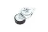 Натяжник ременя генератора Ford Transit Connect 1.8 16V 02-13 INA 534 0130 20 (фото 8)