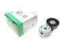 Натяжник ременя генератора Land Rover Discovery/Range Rover 2.7/3.0 04- INA 534 0668 10 (фото 1)