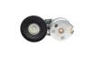 Натяжник ременя генератора Land Rover Discovery/Range Rover 2.7/3.0 04- INA 534 0668 10 (фото 5)