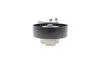 Натяжник ременя генератора Land Rover Discovery/Range Rover 2.7/3.0 04- INA 534 0668 10 (фото 6)