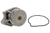 Помпа води Seat Corodba/Ibiza/VW Caddy/Polo 1.0i/1.4 96-02 (27z) INA 538 0033 10 (фото 3)