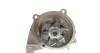 Помпа води Mazda 3/323/5/6/626/Premacy 2.0TD/DI/DITD/CD 98-10 (19z) INA 538 0101 10 (фото 5)