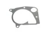 Помпа води BMW 3 (E46/E90-E92) 318d/320d/325d/5 (E60/E61), M47/M57/N47 INA 538 0171 10 (фото 6)