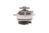 Помпа води Ford Focus I/Mondeo II/Transit/Tourneo Connect 1.6/1.8/2.0 16V 02-13 INA 538 0255 10 (фото 5)