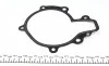Помпа води Chevrolet Lacetti/Nubira/Captiva 2.0D 07-/Cruze 2.0CDI 09- INA 538 0312 10 (фото 6)