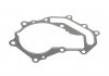 Помпа води Renault Master/Opel Movano 3.0 dCi/DTI 03-, 100kw, ZD3 INA 538 0384 10 (фото 10)