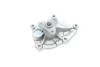Помпа води BMW 1 (F20/21)/3 (F30/F80) 1.6 11- (N13)/Citroen Berlingo/Peugeot Partner 1.4/1.6 06- INA 538 0466 30 (фото 13)