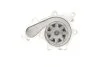 Помпа води Nissan Pathfinder III 2.5dCi 05-10/NP300 Navara 2.5dCi 05- INA 538 0530 10 (фото 4)