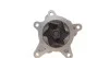 Помпа води Hyundai Accent/Elantra/i20/i30/i40/ix20/Tucson/Kia Ceed/Sportage 1.4/1.6 10- INA 538 0667 10 (фото 5)