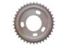 Комплект ланцюга ГРМ Ford Transit 2.4DI/2.2-2.4TDCI 06- (ланцюг, натяжник, шестерня) INA 559 1806 41 (фото 28)