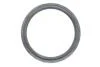 Комплект ланцюга ГРМ BMW 3 (E93/F30)/X3 (F25)/X5 (F15) 06-18 (z=86/70) (N47/B47) INA 559 1818 40 (фото 14)