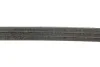 Ремінь генератора Citroen C3/C4/Peugeot 208/308 1.2 THP 13- INA FB 3EPK576 (фото 3)