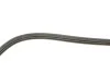 Ремінь генератора Hyundai Elantra/ Matrix 1.8 01-10/ Nissan Micra 1.0-1.4 02-10/ Note 1.4 06-12 INA FB 3PK670 (фото 3)
