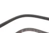 Ремінь генератора Smart Fortwo (451) 1.0/Turbo 07- (+AC) INA FB 4EPK738 (фото 3)