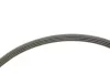 Ремінь генератора Honda Civic VI/Nissan Primera/Citroen Berlingo 1.4-1.6 16V 94-05 (4PK800) INA FB 4PK800 (фото 3)