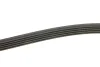 Ремінь генератора Mazda 323/626/ Opel Astra G/Vectra B/C 2.0/2.2 00-08 INA FB 5PK1030 (фото 3)