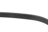 Ремінь генератора Citroen Jumper 2.8HDI 00-/Honda Accord 1.9-2.0 93-98/ Toyota Carina 2.0 96-97 INA FB 5PK1100 (фото 3)