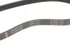 Ремінь генератора Land Rover Freelander 1.8 16V 00-06 INA FB 5PK736 (фото 3)