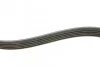 Ремінь генератора Fiat Scudo 2.0 JTD 99-06 (5PK970) INA FB 5PK970 (фото 3)