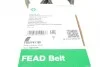 Ремінь генератора VW Polo 1.4 TDI 99-01 INA FB 6DPK1188 (фото 5)