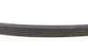 Ремінь генератора BMW 3(E92)/5(E60)/X3(E83) 07-, N47/N57 INA FB 6DPK1817 (фото 3)