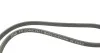 Ремінь генератора BMW 3(E92)/5(E60)/X3(E83) 07-, N47/N57 INA FB 6DPK1817 (фото 4)