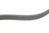 Ремінь генератора VW Polo/Up 11-/Skoda Fabia 14-/Seat Ibiza 1.0/1.6 15- (6PK989) INA FB 6EPK989 (фото 4)
