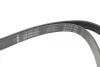 Ремінь генератора Audi A4/A6 1.6-2.0 00-08 (6PK1570) INA FB 6PK1570 (фото 2)