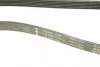 Ремінь генератора MB W202/203/VW/Audi 2.4/2.8i INA FB 6PK1760 (фото 5)