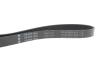 Ремінь генератора MB C-class (W202) 2.0 95-01 INA FB 6PK1863 (фото 4)