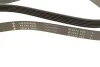 Ремінь генератора MB C-class (W202)/E-class (W211) 2.2CDI/2.7CDI 98-09 INA FB 6PK2250 (фото 3)
