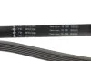 Ремінь генератора MB C-class (W202/203)/E-class (W124/W210/211) M112/M113 INA FB 6PK2390 (фото 3)