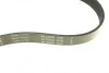 Ремінь генератора Nissan Micra 1.0-1.4i 16V 92-03 INA FB 6PK675 (фото 4)