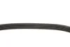 Ремінь генератора VW Polo/Skoda Fabia 1.9SDI/TDI 01-12 (6PK780) INA FB 6PK780 (фото 4)