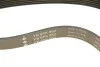 Ремінь генератора Citroen Berlingo/Jumpy/Peugeot Partner 98-13 INA FB 6PK862 (фото 4)