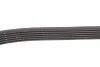 Ремінь генератора Peugeot Partner 1.6 HDI 08-/Ford Connect 1.6TDCi 13- (+AC) INA FB 6PK975 (фото 3)