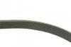 Ремінь генератора BMW 1 (F20/F21)/3 (F30/F80) 1.6i 11-/Honda Civic VII/FR-V 1.7i 01- INA FB 6PK985 (фото 3)
