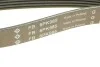 Ремінь генератора BMW 1 (F20/F21)/3 (F30/F80) 1.6i 11-/Honda Civic VII/FR-V 1.7i 01- INA FB 6PK985 (фото 5)