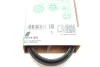 Ремінь генератора Toyota Hilux 2.5 D-4D 01-15 INA FB 7PK1093 (фото 6)