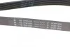 Ремінь генератора Opel Movano/Renault Trafic/Master 2.5 CDTI/dCi 03- (7PK1835) INA FB 7PK1835 (фото 4)