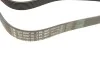 Ремень генератора Land Rover Discovery/Range Rover 2.5 Td5/3.9-4.6 93-04 (7PK1867) INA FB 7PK1867 (фото 3)