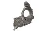 Насос масляний + вакуумний Iveco Daily/Fiat Ducato 2.3JTD 02- IVECO 5802177791 (фото 2)