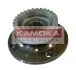 Подшипник ступицы колеса, комплект KAMOKA 5500005 (фото 1)