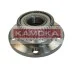 Ступица колеса задняя KAMOKA 5500033 (фото 1)