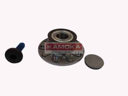 Подшипник ступицы колеса, комплект KAMOKA 5500119