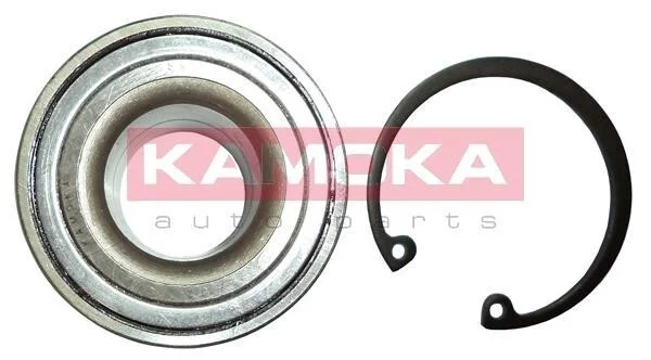 Подшипник ступицы колеса, комплект KAMOKA 5600046 (фото 1)