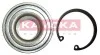 Подшипник ступицы колеса, комплект KAMOKA 5600046 (фото 1)