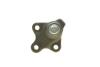 Опора кульова (передня) Dacia Duster II 17-/ Renault Kaptur 16- KAPIMSAN 06-04502 (фото 3)