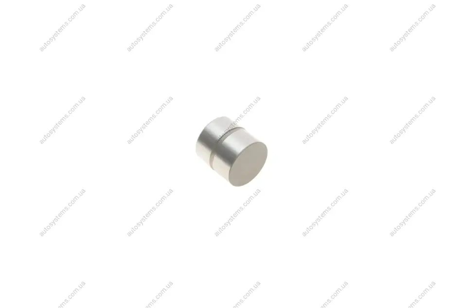 Гідрокомпенсатор VW Passat 1.8T/2.0/2.8 96-05 KOLBENSCHMIDT 50006425 (фото 1)