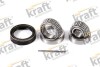Подшипник задней ступицы колеса, комплект KRAFT 4100270 (фото 1)